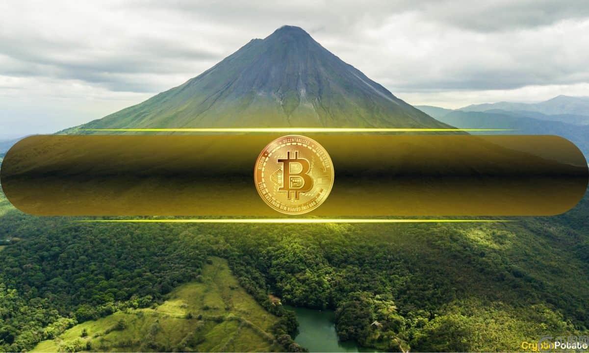 比特币市值占比多少才是牛市__比特币牛市